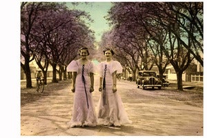 Image of Jacaranda Ladies Greeting Card & Envelope