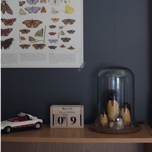Image of Cloche en verre