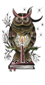 Image of Mo Coppoletta's - Owl print