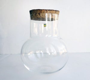 Image of Vintage Maleras Sweden Glass Container/ Terrarium
