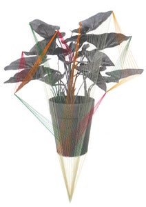 Image of Original hand threaded art work:"Room plant-contact"