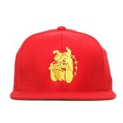 Image of SSUR - MARINES SNAPBACK