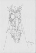 Image of 40/40 Sketch #12