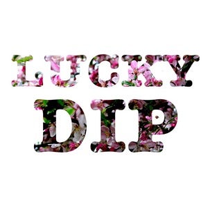 Image of Tye Lucky Dip
