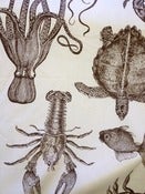 Image of Brown / Ivory Sea Creatures Pillow