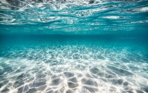 Image of Vacant Paradise