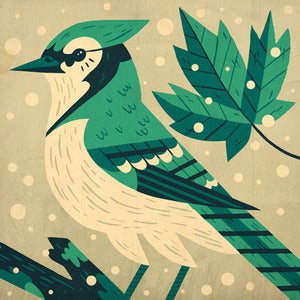 Image of Bird Greetings Card
