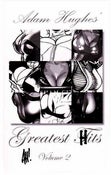 Image of Greatest Hits Volume 2 by Adam Hughes