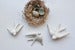 Image of SWALLOWS