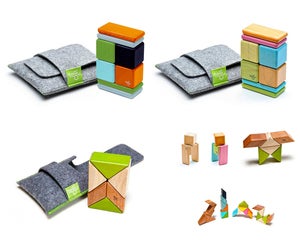 Image of Tegu - Magnetic Blocks Pocket Pouch