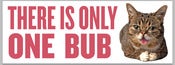 Image of THERE IS ONLY ONE BUB - bubmper sticker!