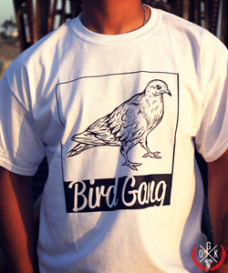 Image of Bird Gang