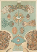 Image of Vision