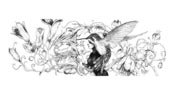 Image of Nectarivore