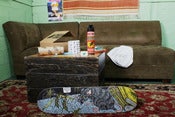 Image of Orchard x Antihero "Off Campus Housing" Package