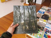 Image of Sander Meisner - Botanica