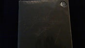 Image of Ruin Lust - S/T LP