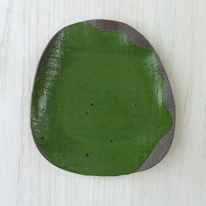Image of moss on chocolate plate #15