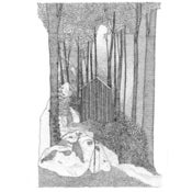 Image of The Wooden Stucture