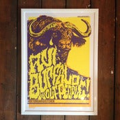 Image of Avi Buffalo *FRAMED*
