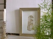 Image of tähdenlento / shooting star
