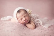 Image of Lori Knit Backdrop