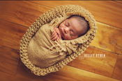 Image of Little Peanut Jute Pod