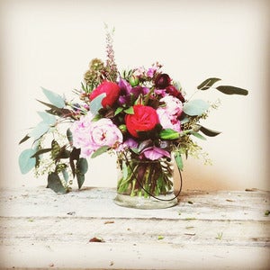 Image of Wild Love