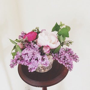 Image of Sweet Whimsy