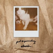 Image of Pet Symmetry/Dikembe Split
