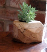 Succulent Planter