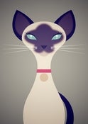 Image of Siamese