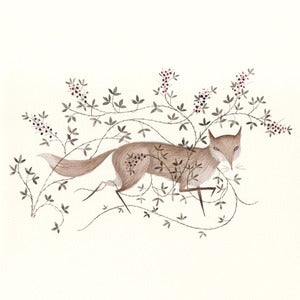 Image of Thicket