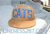 Image of khaki suede blue cats hat