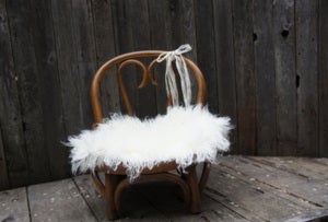 Image of "Not your ordinary (prop) Chair"!  Bentwood back with Wicker Seat