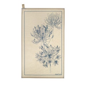 Image of Tea-towel | Agapanthus: Cornflower Blue