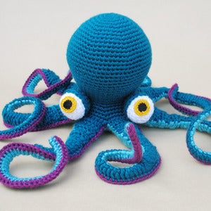 Image of Giant Octopus