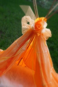 Image of Peaches and  Lemonade Teepee