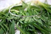 Image of Hand-hammered cuff bracelet