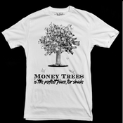 Image of money tree