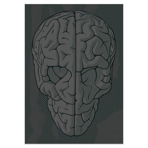 Image of Skull Brain by Emilio Garcia