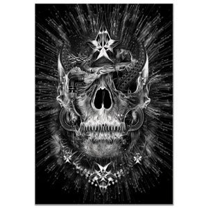 Image of Skull Shine by Nicolas Obery