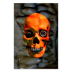 Image of Arrex Teef Skull by Rx Skulls