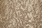 Image of Aurora Silk Fabric by Clarence House CH02