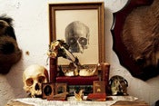 Image of 17" x 22" Custom Print of Any Image From The Selby series of 3