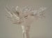 Image of Corolla on Baby Candle Stand