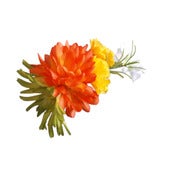 Image of Millie Bright Floral Bandeau