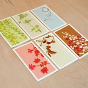 Image of Tall Card Pack of 6