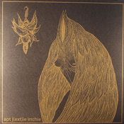 Image of APT J(EXT)IE IRRCHIE - "night wearing feathers / sunshine bus rider" LP
