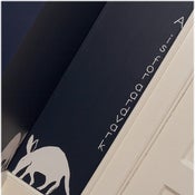 Image of A is for Aardvark